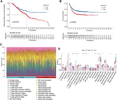 Identification of genes modified by N6-methyladenosine in patients with colorectal cancer recurrence